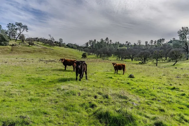 a view of a lake with outdoor space
