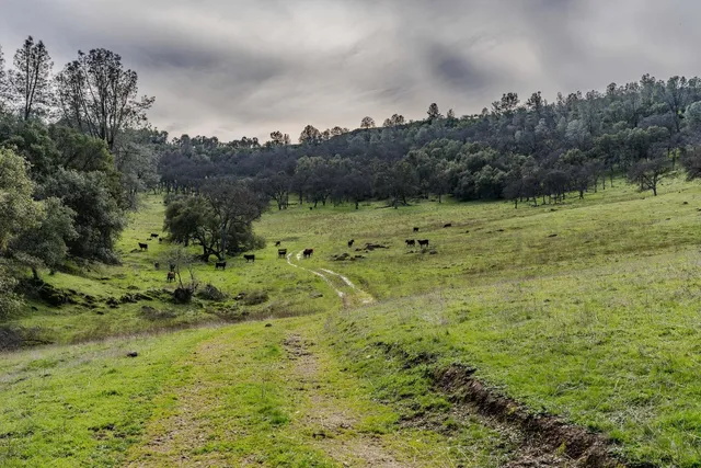 a view of an outdoor space and a yard
