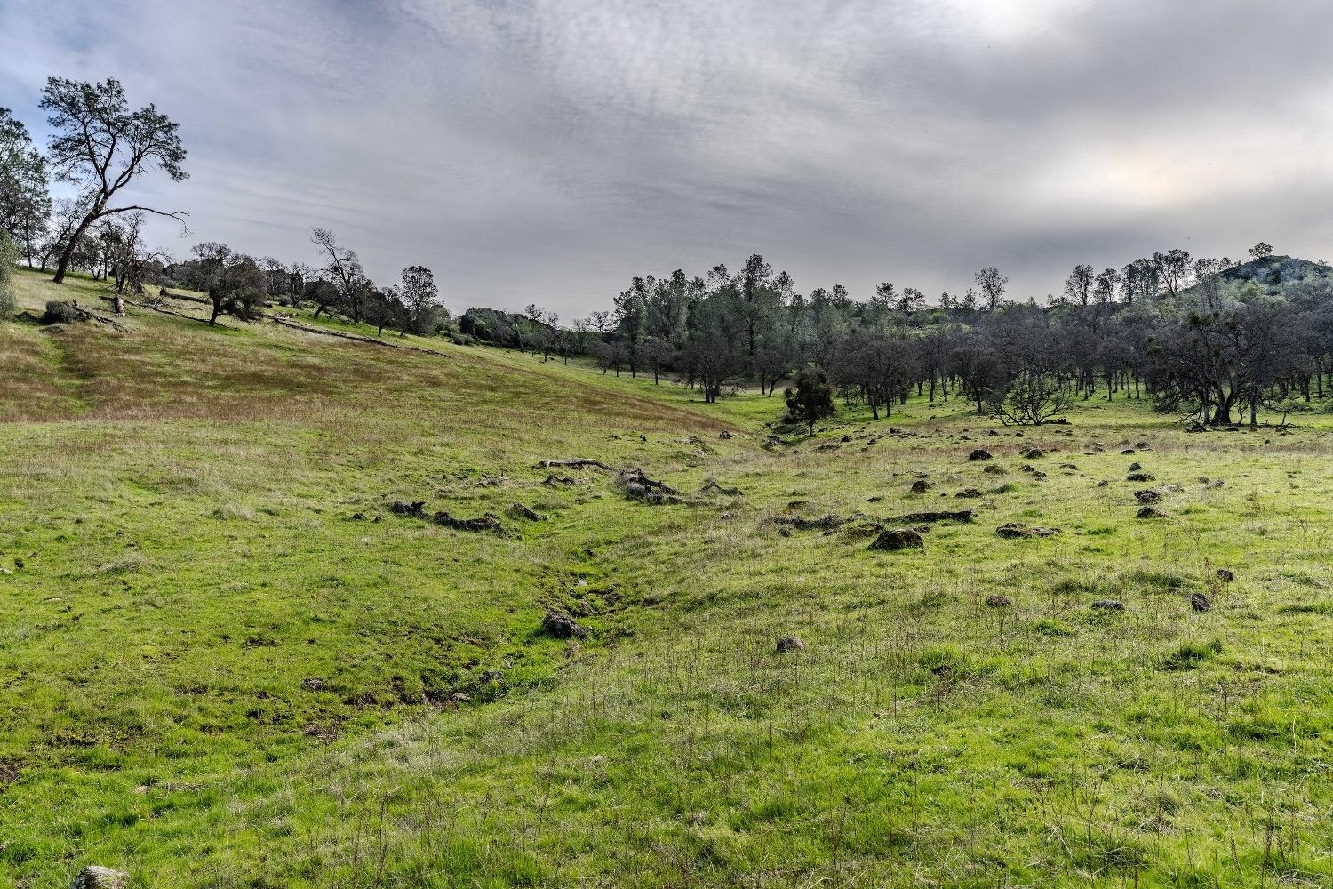 0 Little John Road Copperopolis, CA 95228 - Photo 27 of 47
