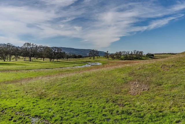 a view of a big yard with an buildings in the background