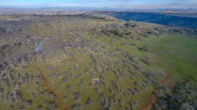 a view of a dry field with trees in the background