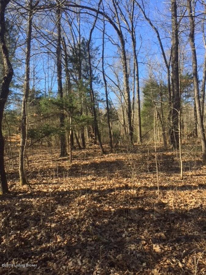 1600 Warren Purcell Road Leitchfield, KY 42754 - Photo 14 of 34 Warren Percell 14
