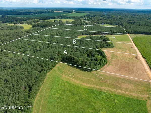 $125,000 | Parcel B Parcel B J Runnels Road, Petal, MS 39465