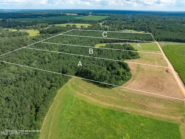 $125,000 | Parcel B Parcel B J Runnels Road, Petal, MS 39465