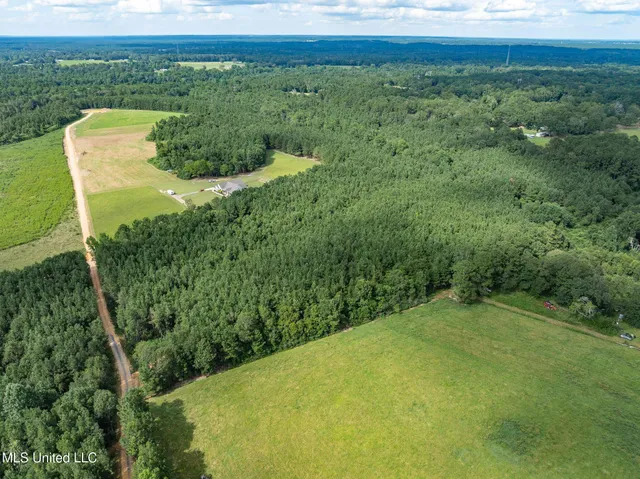 $125,000 | Parcel B Parcel B J Runnels Road, Petal, MS 39465