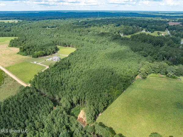 $125,000 | Parcel B Parcel B J Runnels Road, Petal, MS 39465