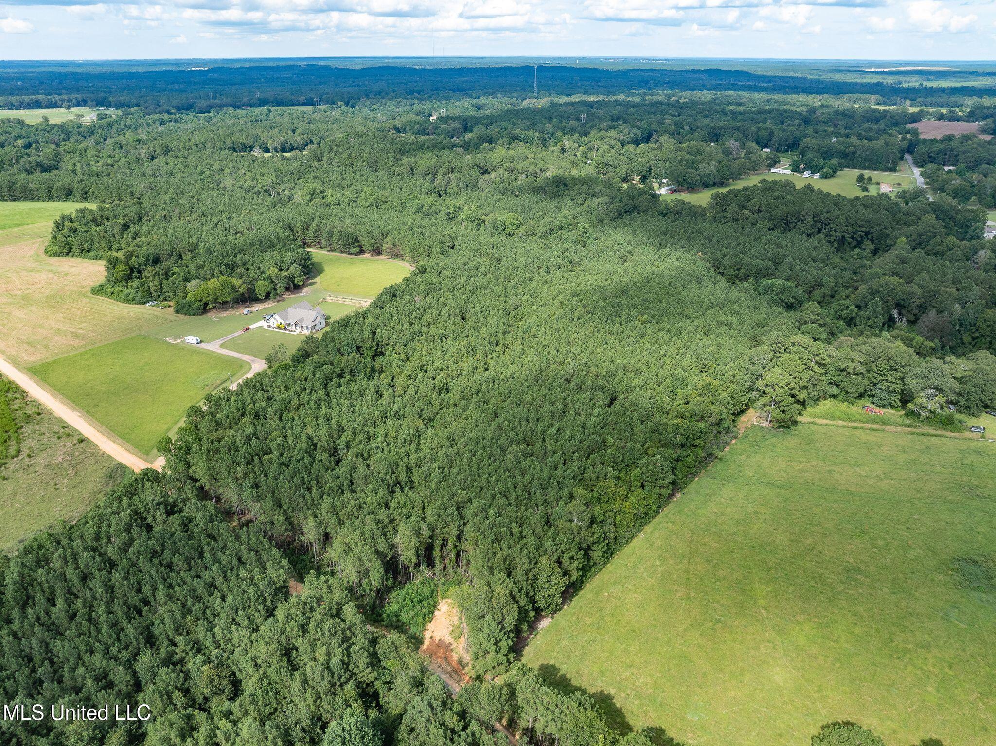 Parcel B Parcel B J Runnels Road Petal, MS 39465 - Photo 15 of 15 J_Runnels_Common-23