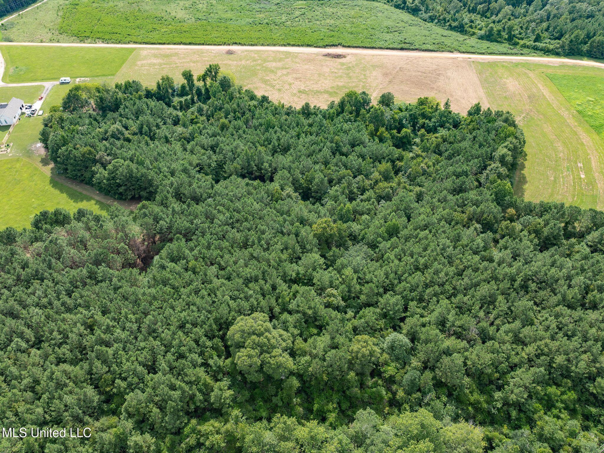 Parcel B Parcel B J Runnels Road Petal, MS 39465 - Photo 5 of 15 J_Runnels_A_and_B-18