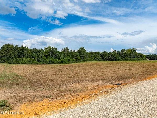 $125,000 | Parcel B Parcel B J Runnels Road, Petal, MS 39465