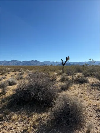 $7,500 | 245-26-039 Raley Road, Yucca, AZ 86438