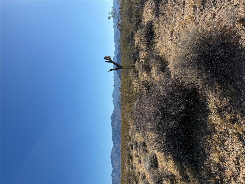 245-26-039 Raley Road Yucca, AZ 86438 - Photo 1 of 6