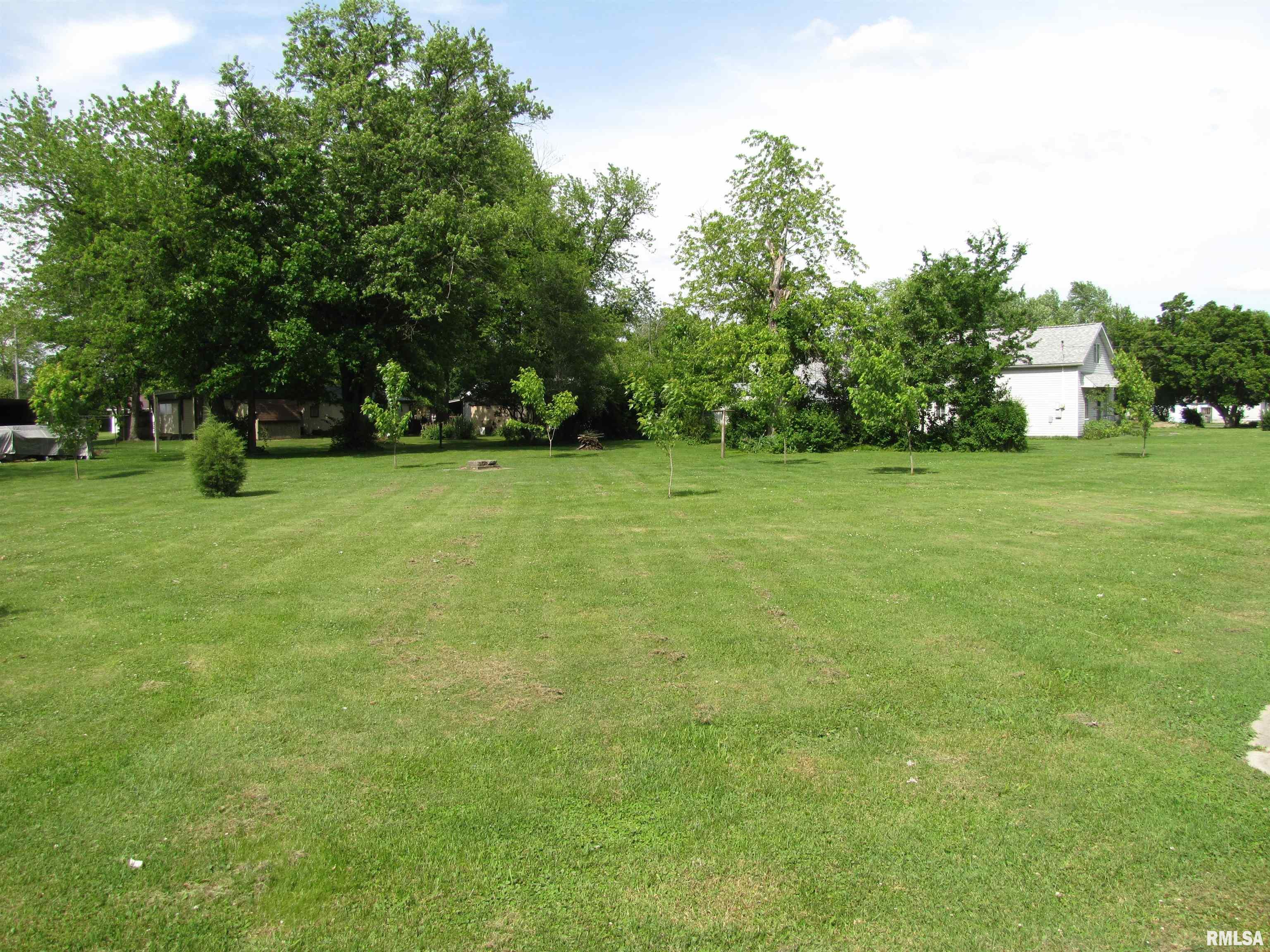 0 Middleton Street Iuka, IL 62849 - Photo 2 of 5 Gallery Image 2