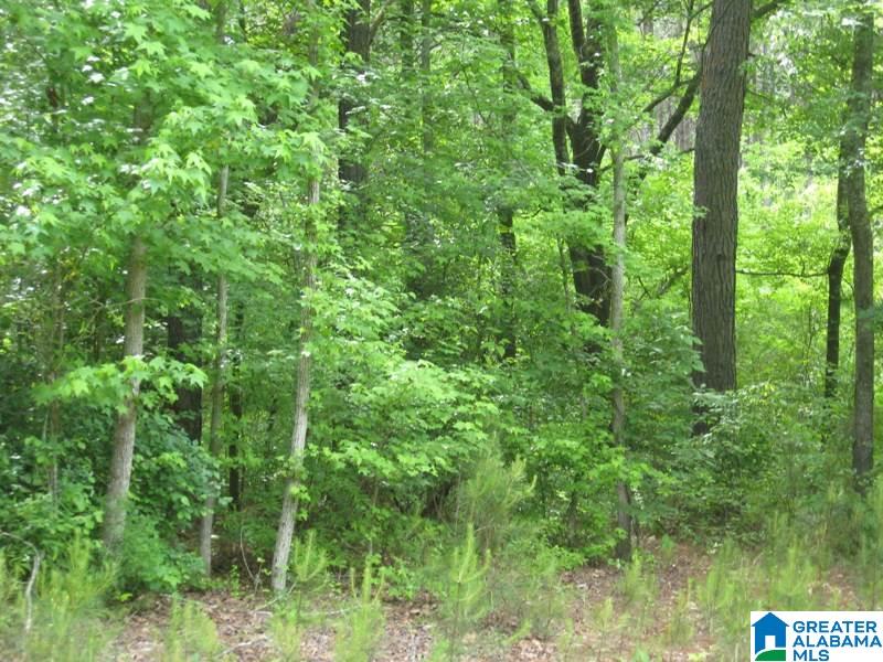 178 Olde Springs Road, Unit 24 Anniston, AL 36207 - Photo 32 of 37