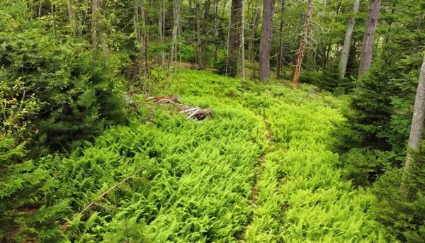 $200,000 | 7 Wrong Wy Drive, Phippsburg, ME 04562