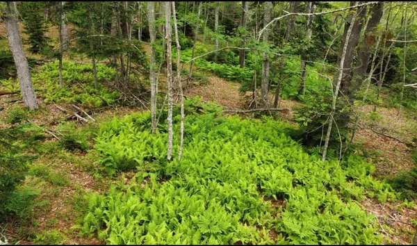 $200,000 | 7 Wrong Wy Drive, Phippsburg, ME 04562