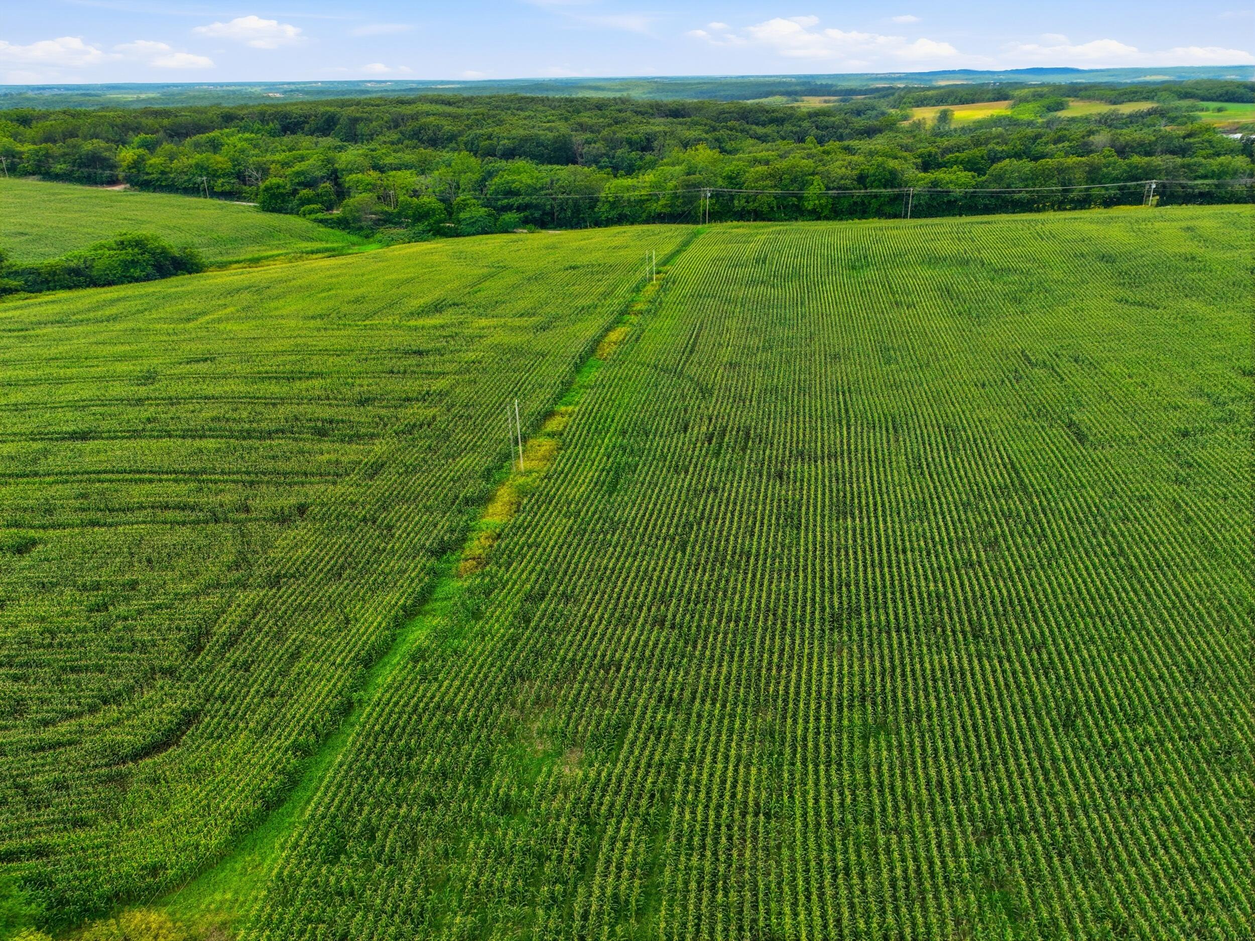 0 Gravel Point Road, Unit 2 Mountain Grove, MO 65711 - Photo 10 of 30 dji_0086