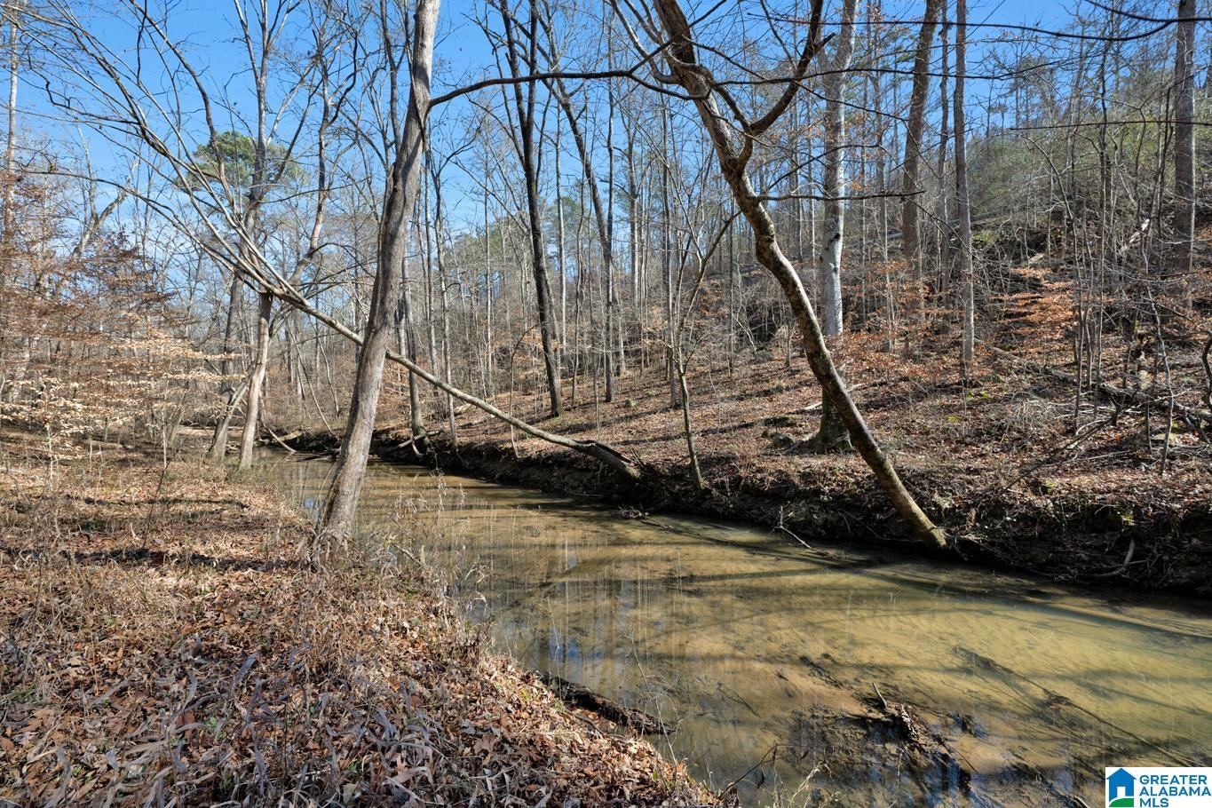 874 Mill Creek Road Warrior, AL 35180 - Photo 44 of 47