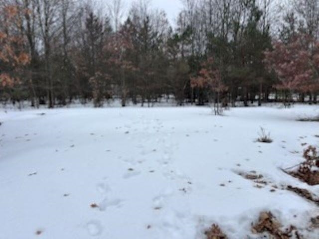Lot B West 14 Road Mesick, MI 49668 - Photo 9 of 37