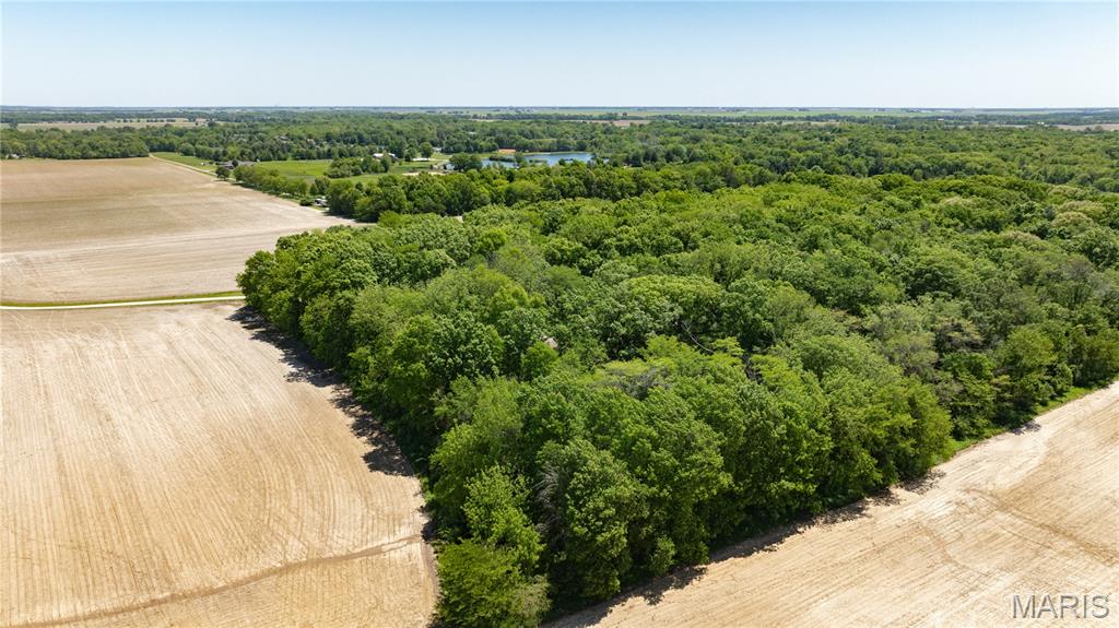 11500 West Loami Road Loami, IL 62661 - Photo 54 of 57 Gallery Image 54