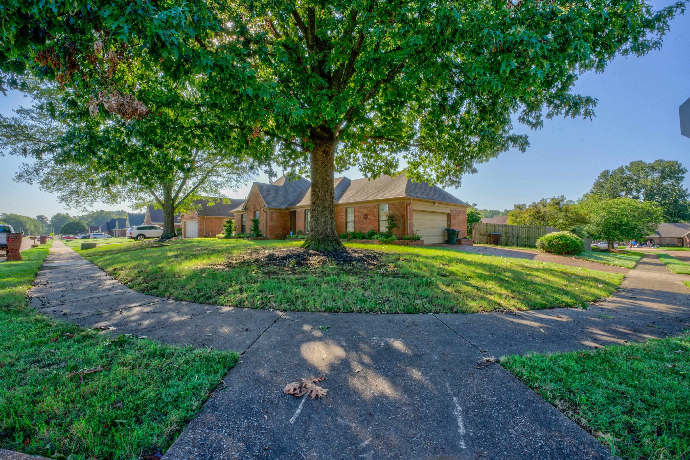 6951 Andrews Road Bartlett, TN 38135 - Photo 3 of 28 Gallery Image 3