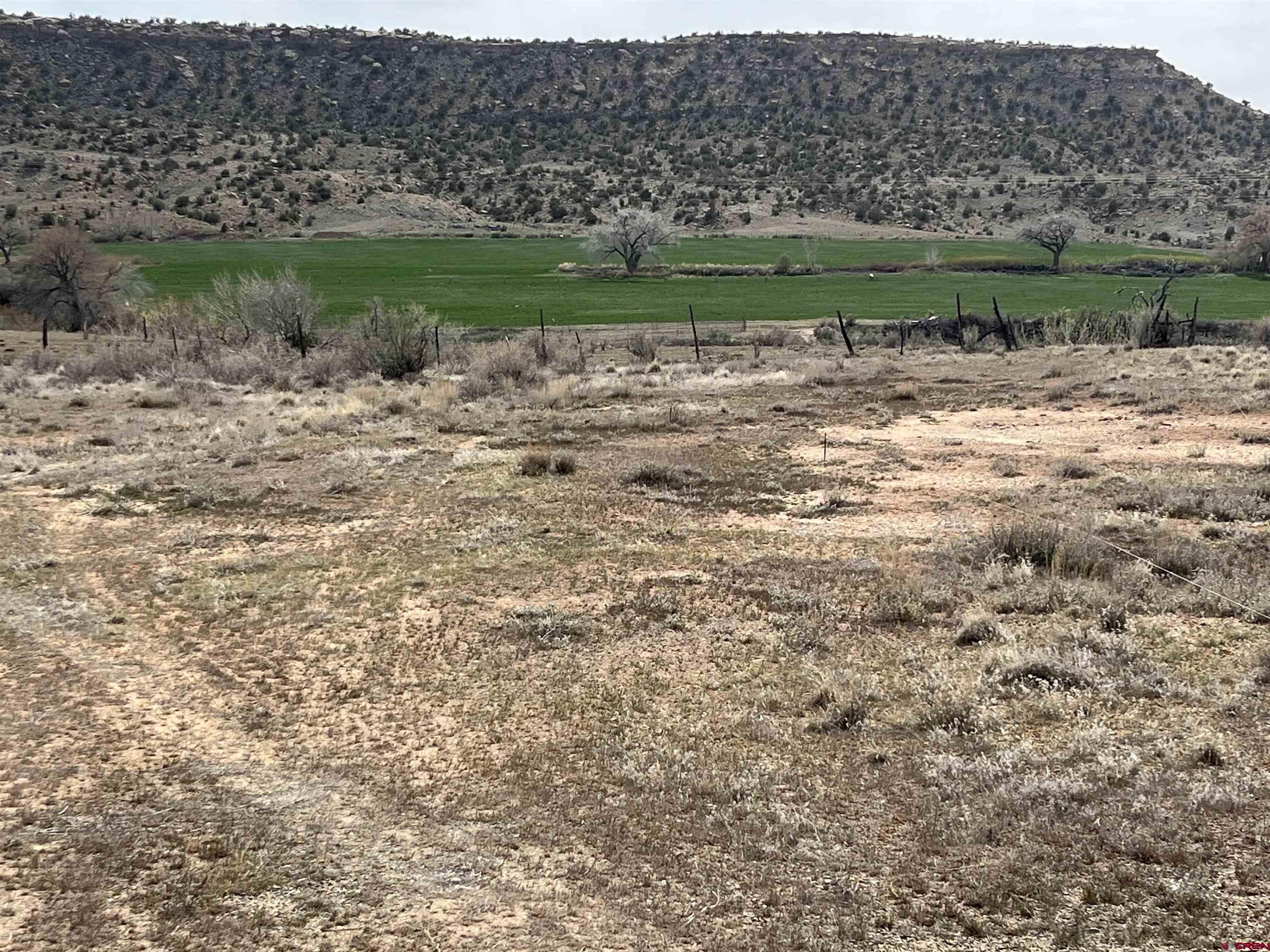 4922 Rd G Cortez, CO 81321 - Photo 2 of 4 a view of a lake with a field