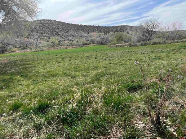 a view of a large green field