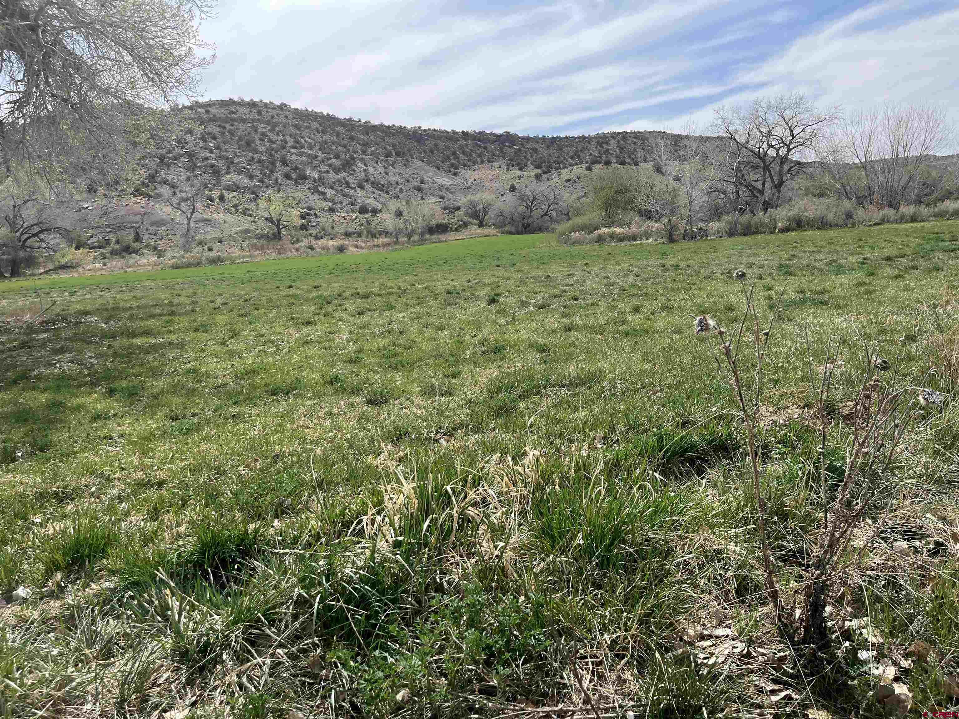 4922 Rd G Cortez, CO 81321 - Photo 3 of 4 a view of a large green field