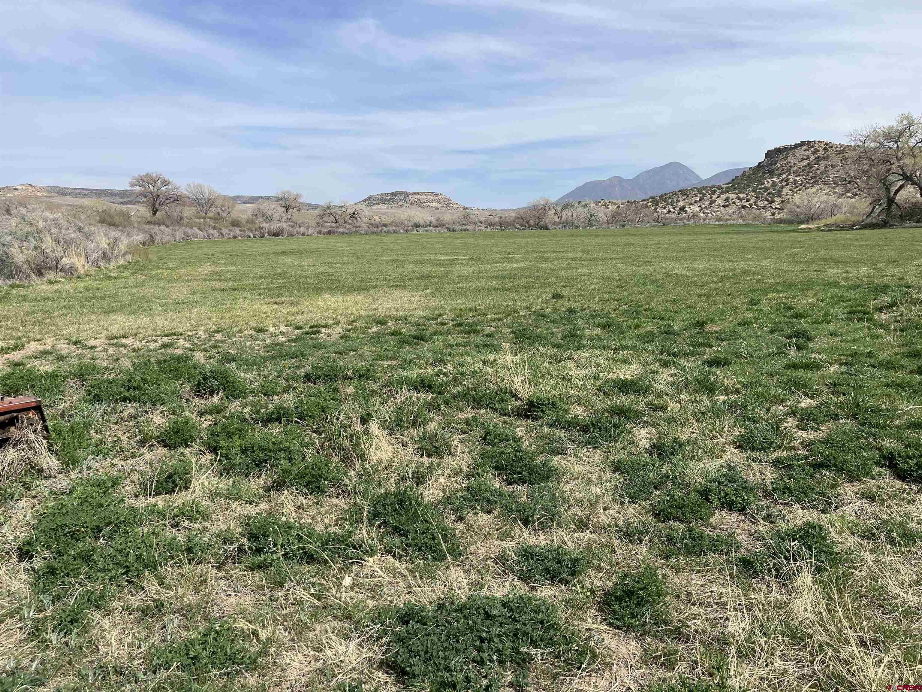 4922 Rd G Cortez, CO 81321 - Photo 4 of 4 a view of a lush green hillside and houses