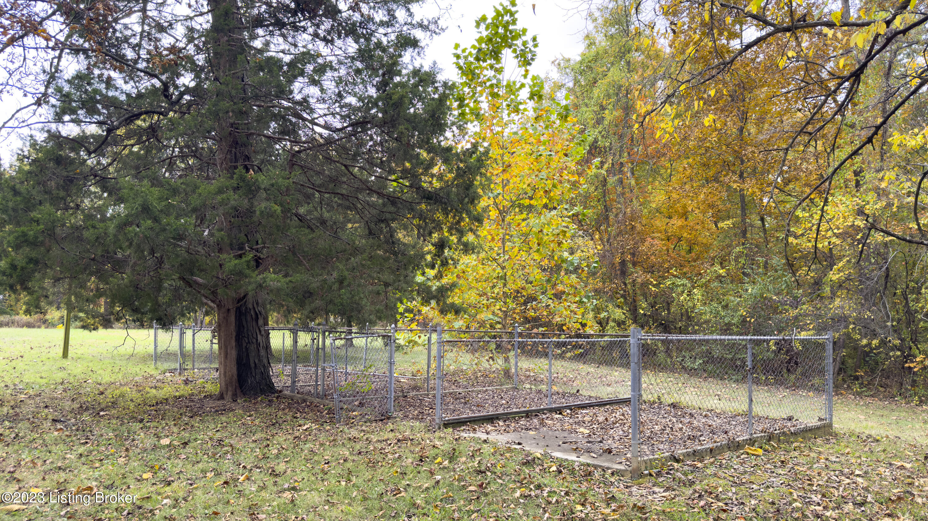9898 Fairmount Road Louisville, KY 40291 - Photo 50 of 53 Kennel Area