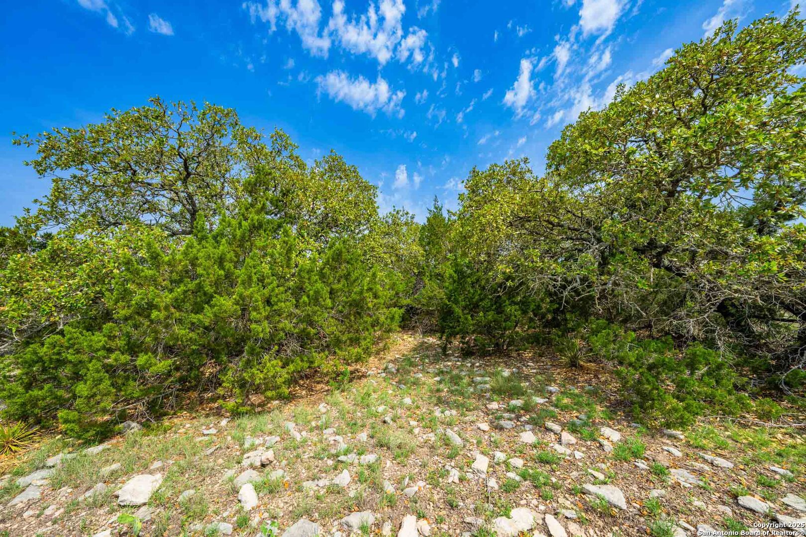 Tbd Tbd 74240th Rocksprings, TX 78880 - Photo 23 of 33