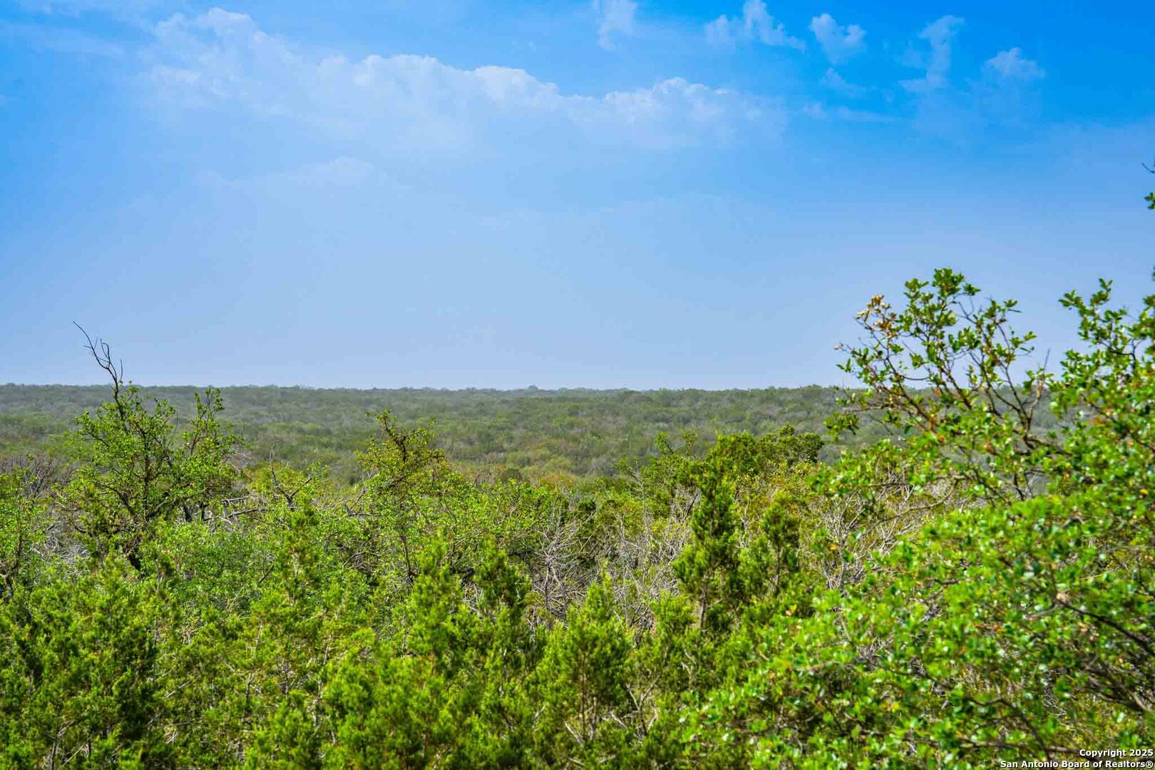 Tbd Tbd 74240th Rocksprings, TX 78880 - Photo 6 of 33