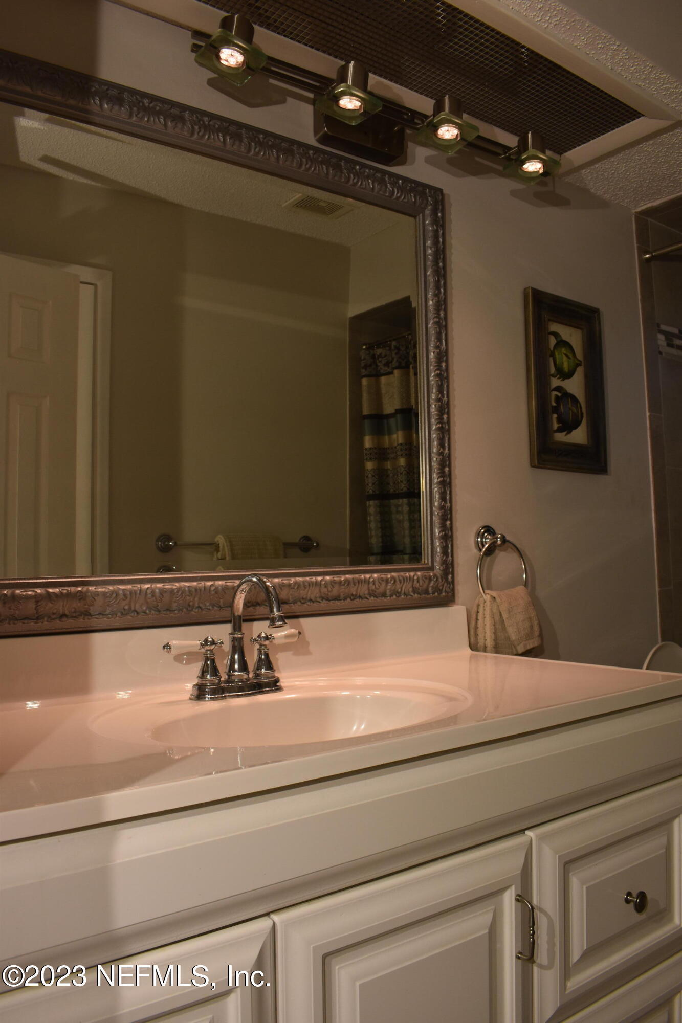 10377 Autumn Valley Road Jacksonville, FL 32257 - Photo 33 of 41 Hall Bathroom