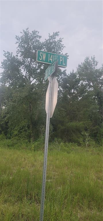 4 Southwest 141st Lane Ocala, FL 34473 - Photo 1 of 1