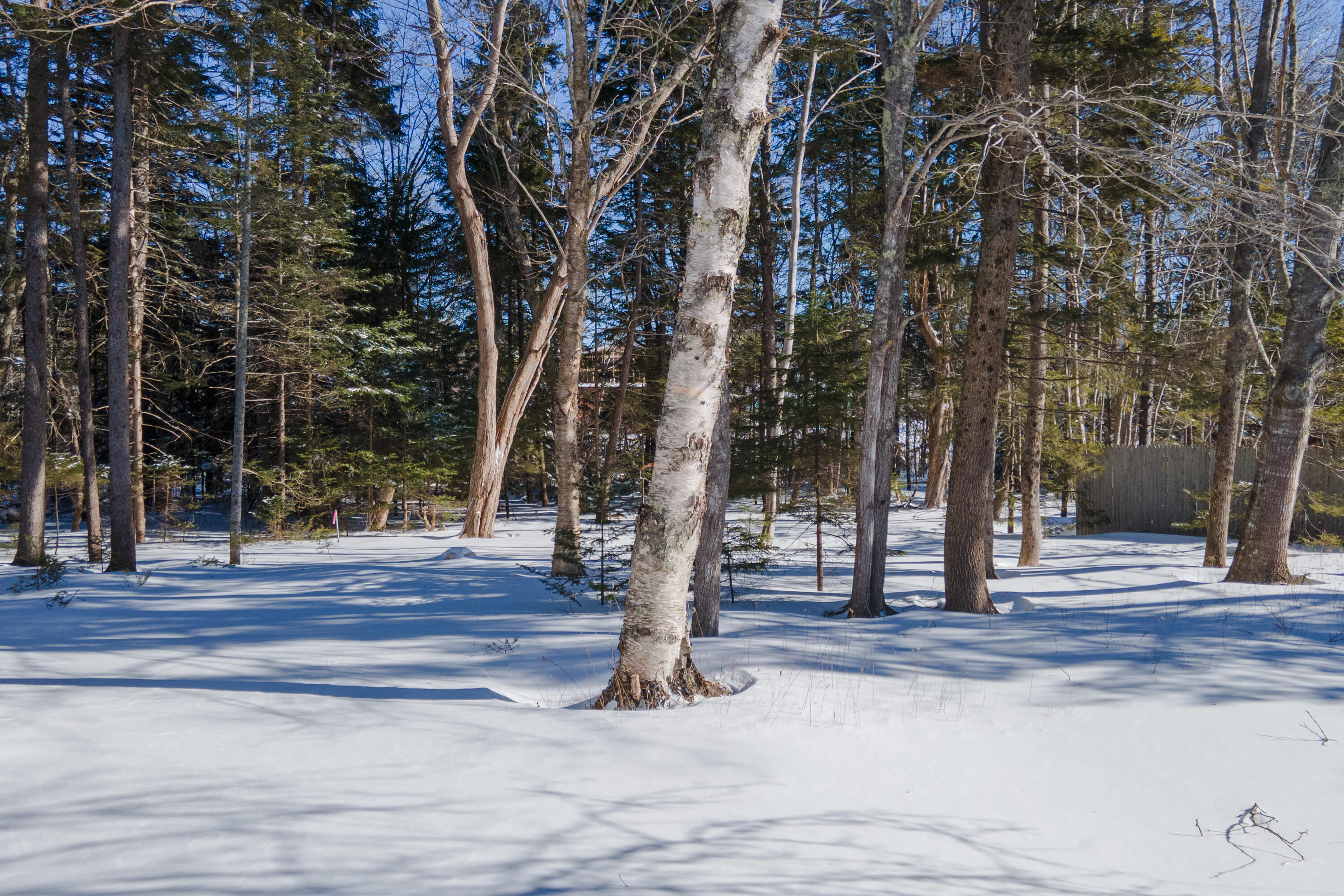 22 Tennis Club Road Mount Desert, ME 04662 - Photo 8 of 45 43-22TennisClubRd-NEH-KS