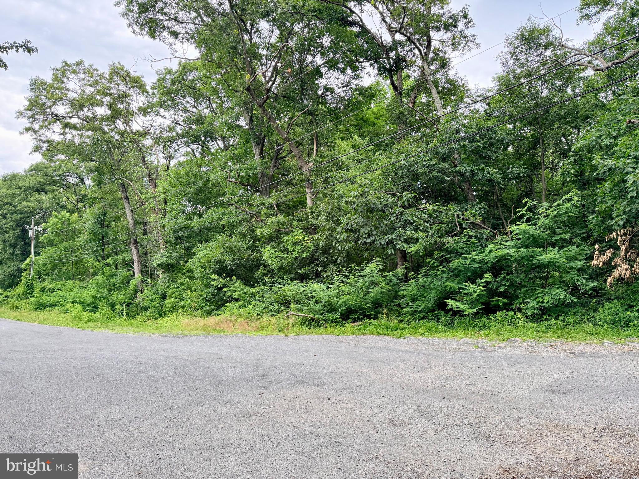 21908 White Oak Road Hagerstown, MD 21740 - Photo 9 of 9