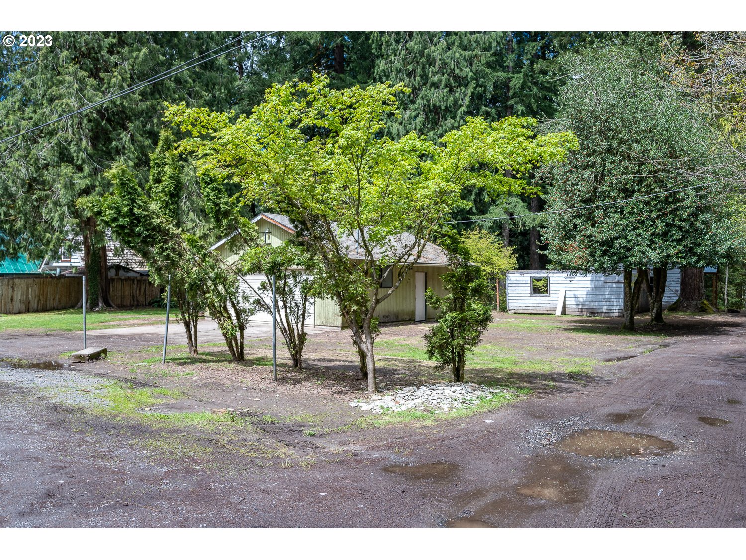 59191 Southeast Chalet Place Sandy, OR 97055 - Photo 15 of 25 a view of a park with large trees