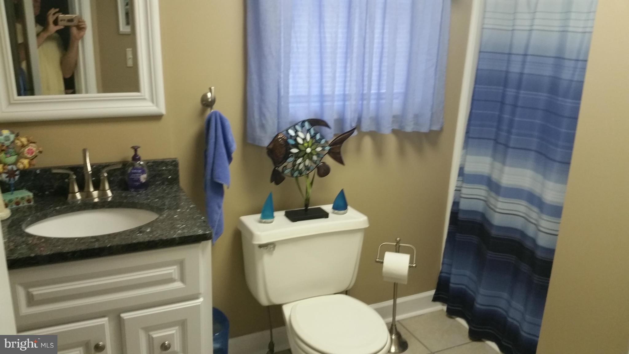 12838 Fork Road Baldwin, MD 21013 - Photo 15 of 20 Bath