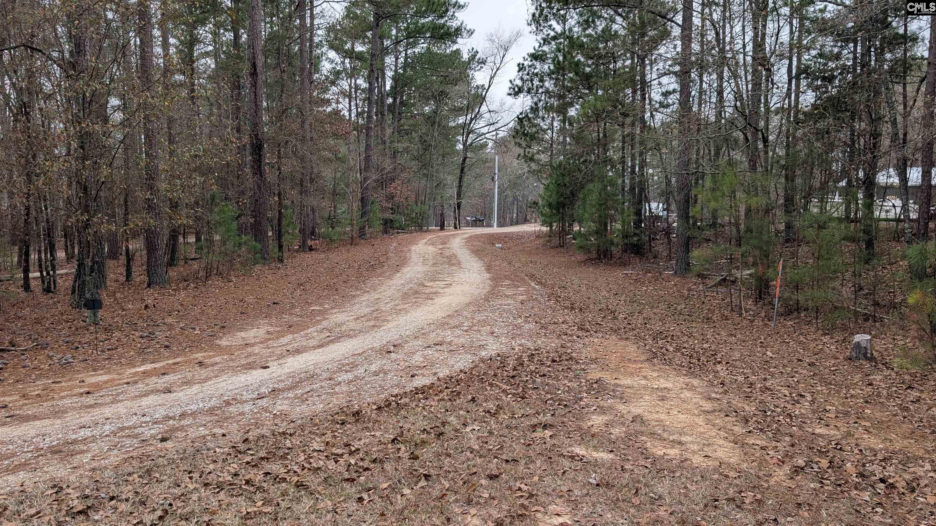 Lots B & C Lots B & C Miller Road Camden, SC 29020 - Photo 2 of 36