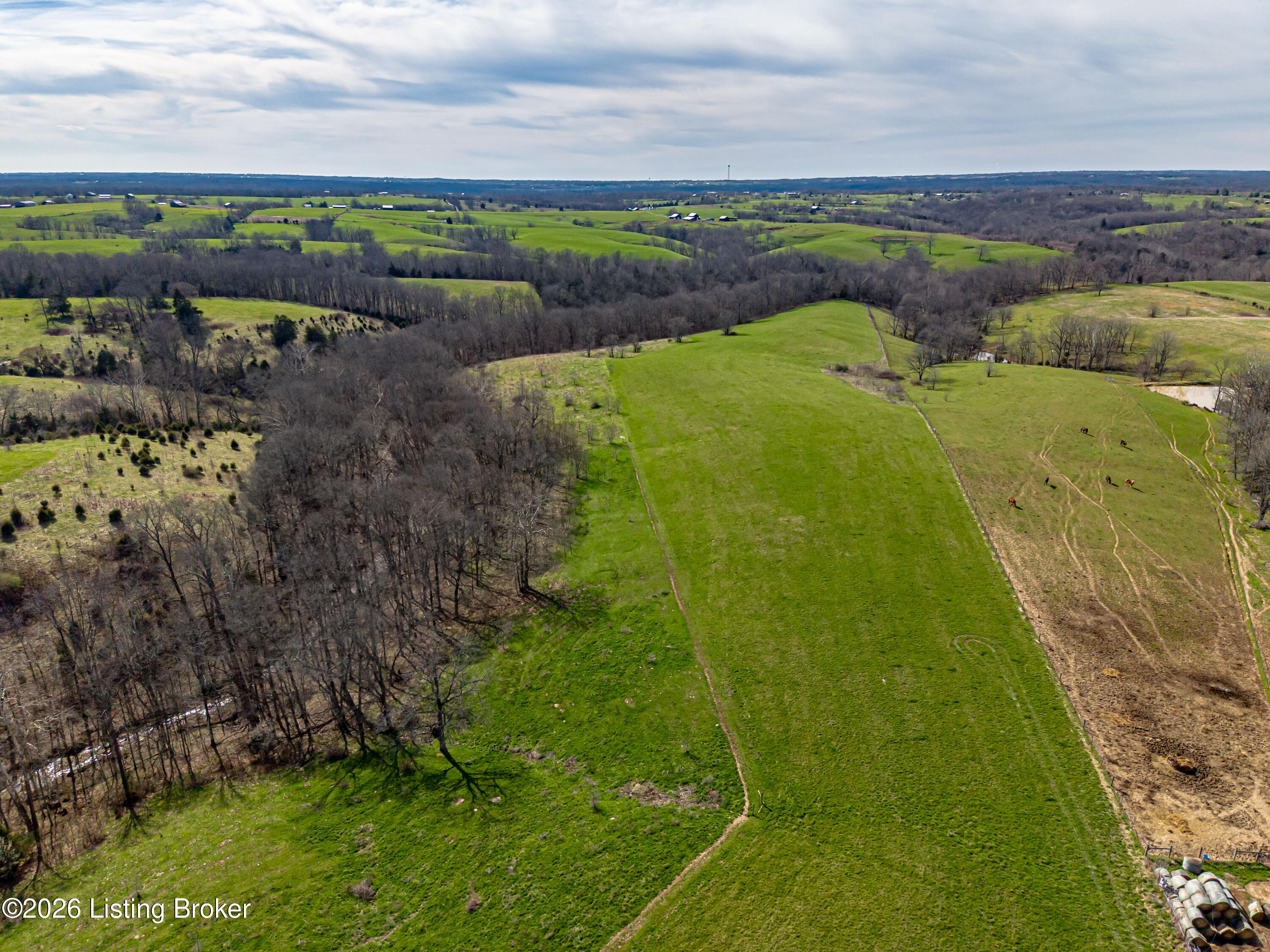 1922 Hickory Corner Road Pleasureville, KY 40057 - Photo 13 of 69 DJI_20260325042949_0766_D