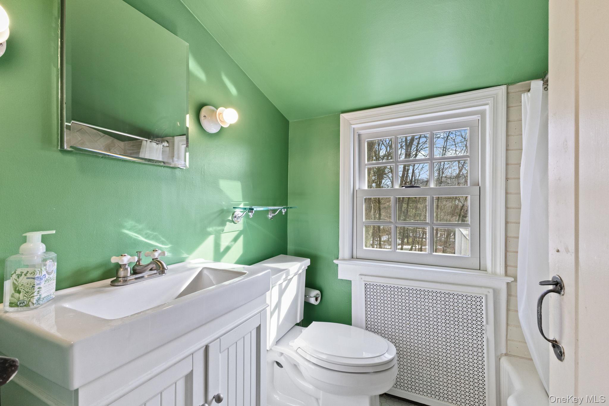 8 South Bedford Road Pound Ridge, NY 10576 - Photo 26 of 32 a bathroom with a sink a toilet and a mirror
