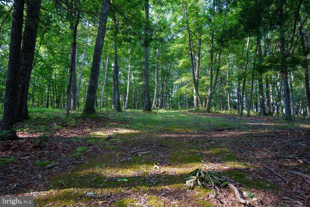 Pack Horse Road Winchester, VA 22603 - Photo 8 of 15