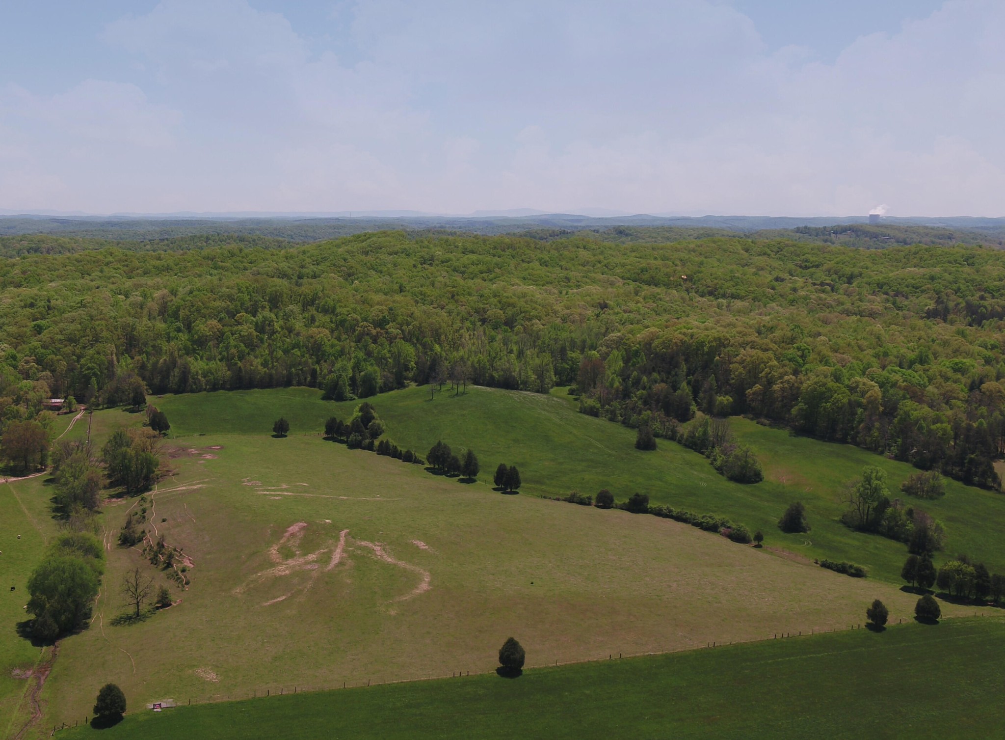128 Jim Grasson Road Spring City, TN 37381 - Photo 4 of 7 Gallery Image 4