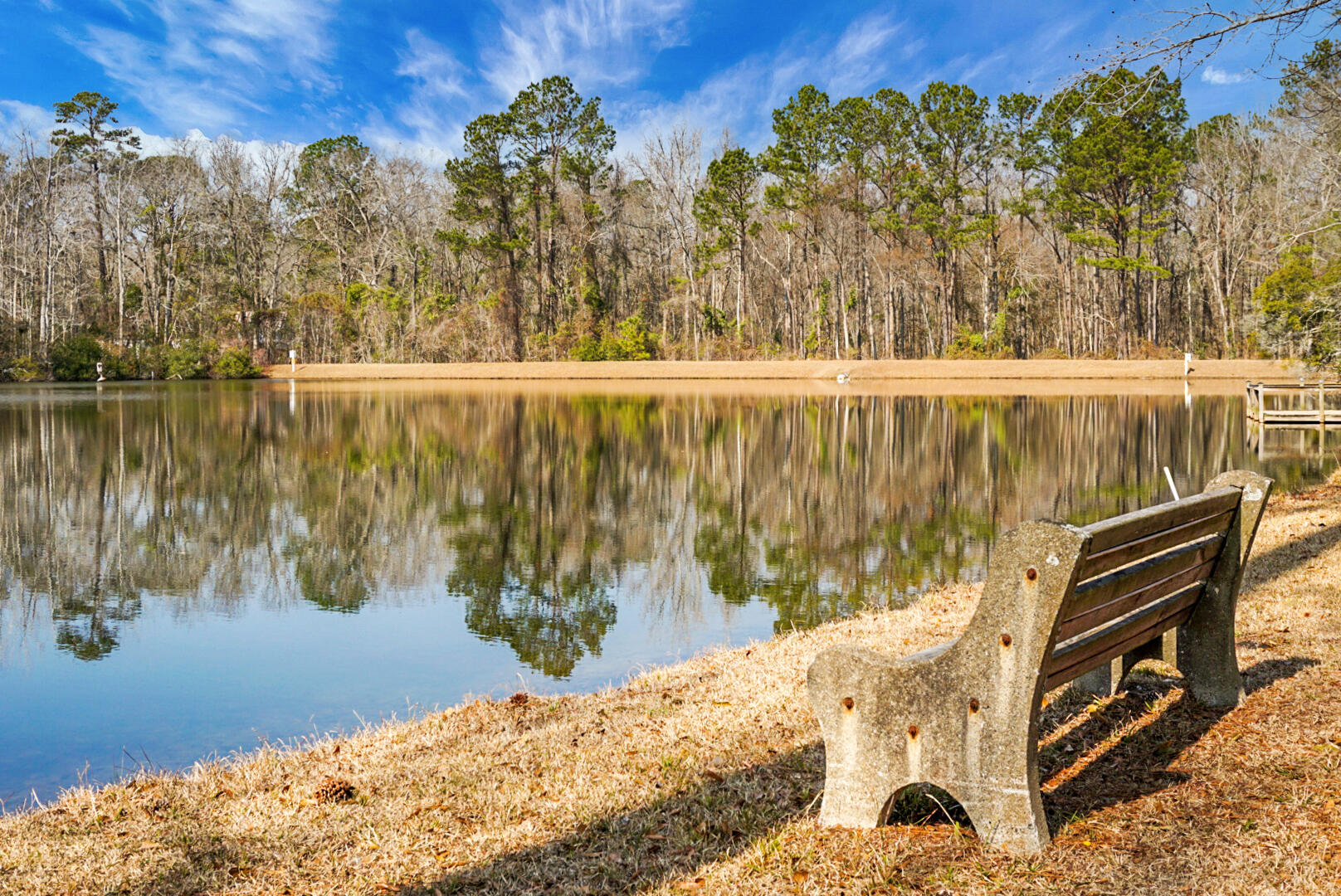 1 Santee Lakes Court Elloree, SC 29047 - Photo 65 of 79