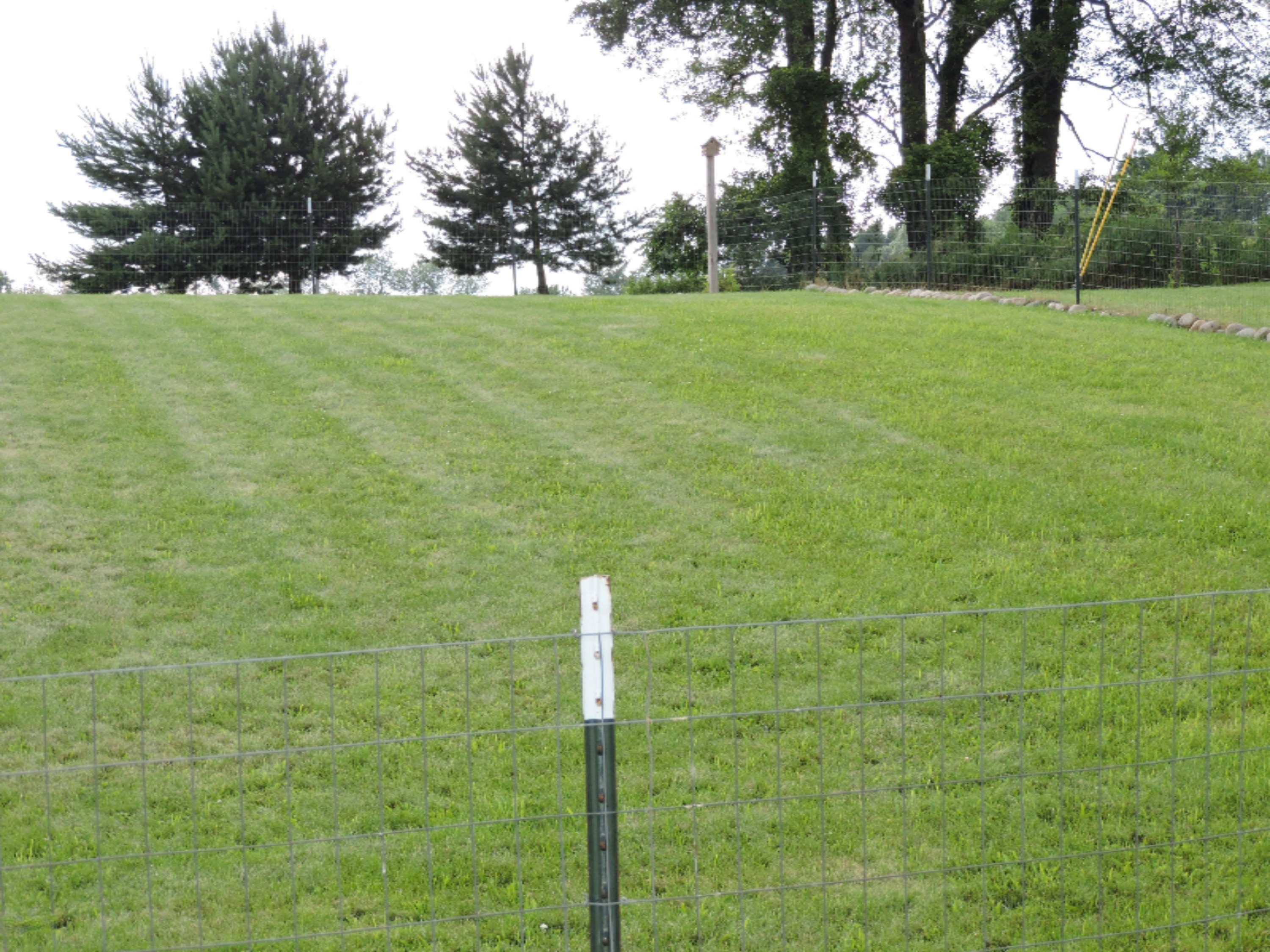50431 Buchner Road Mendon, MI 49072 - Photo 27 of 35 Yard