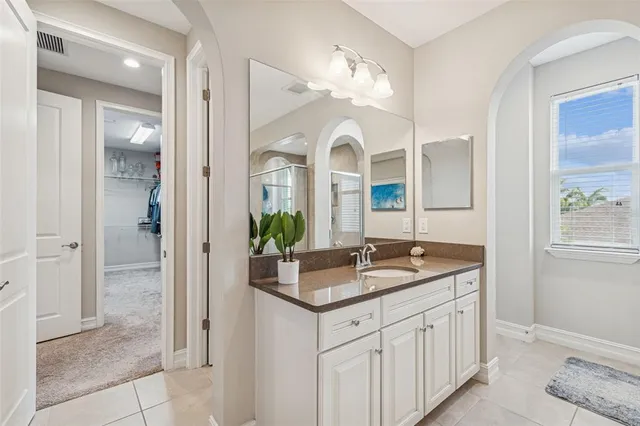 a kitchen with a sink and a potted plant