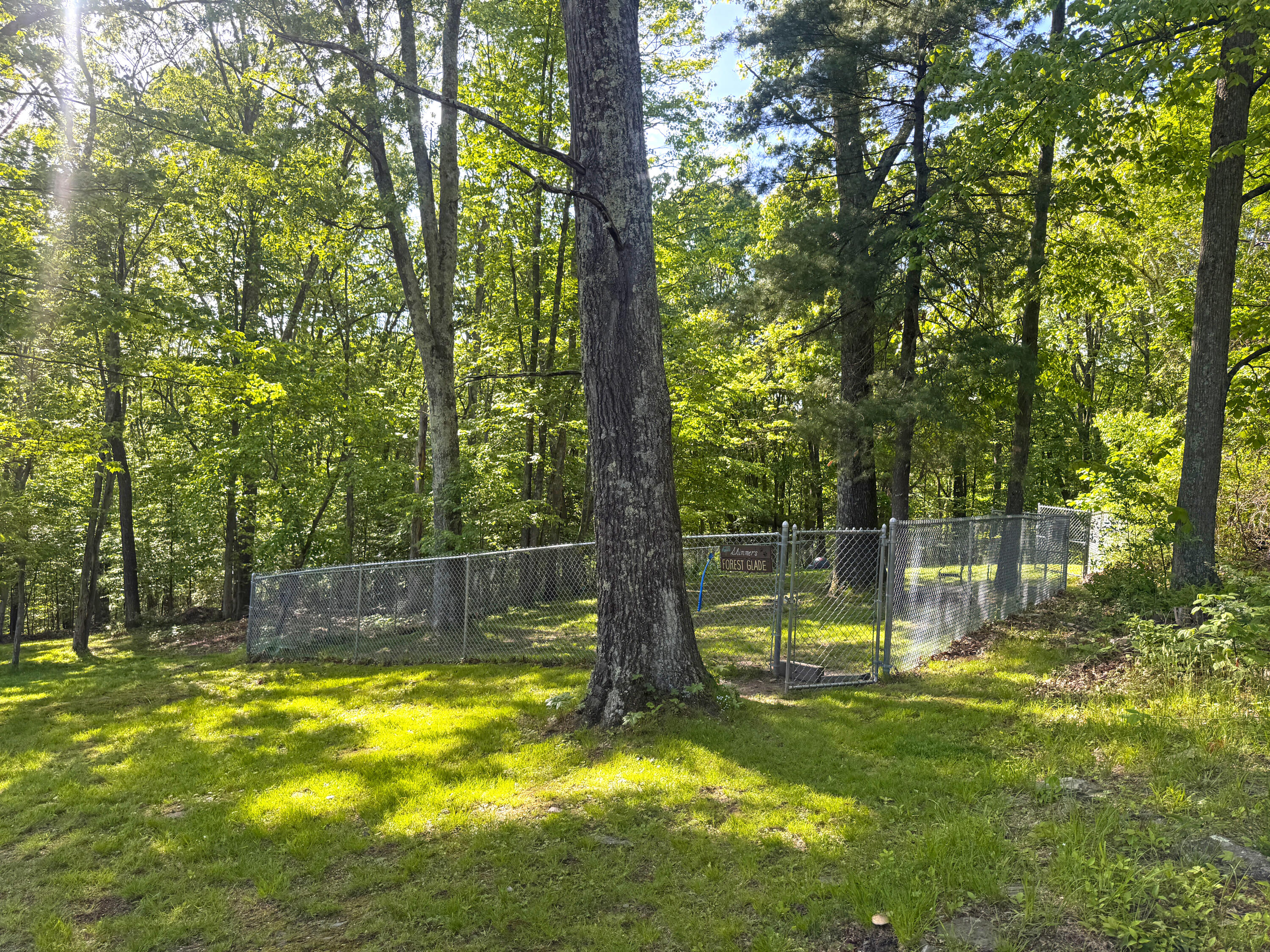 507 Shadowbrook Drive Tunkhannock, PA 18657 - Photo 47 of 57 a view of swimming pool with a table and chairs