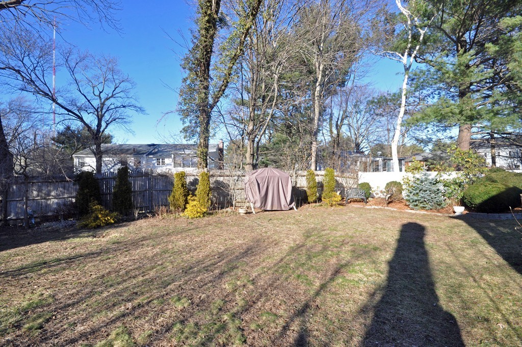 161 Evelyn Road Needham, MA 02494 - Photo 9 of 9