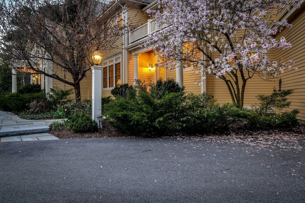 58 Pine Street Dover, MA 02030 - Photo 36 of 40