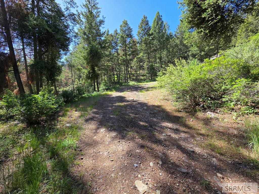 21 Pinetree Drive Salmon, ID 83467 - Photo 46 of 71