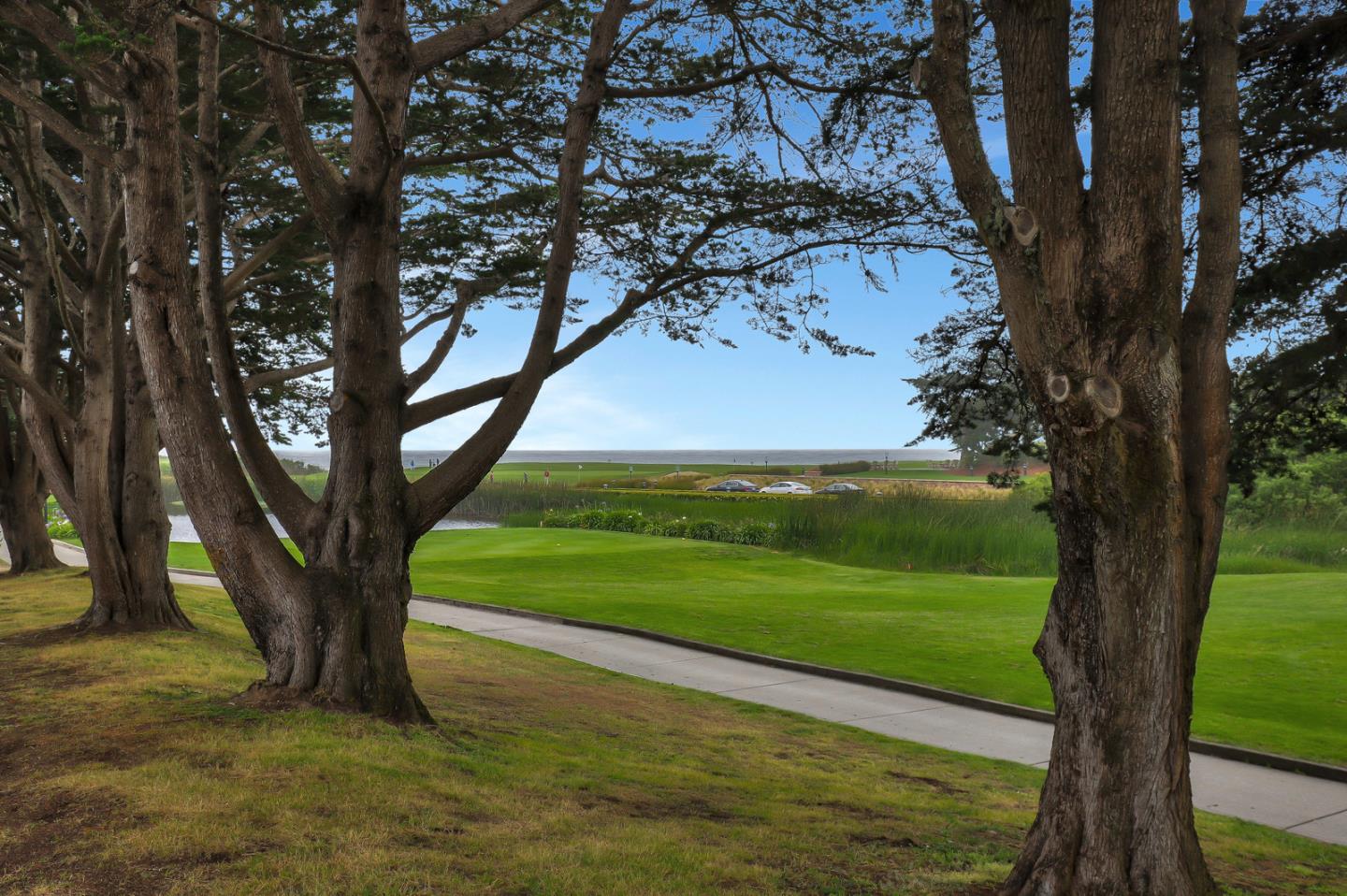 4 Muirfield Road Half Moon Bay, CA 94019 - Photo 38 of 40 a view of a trees in a yard